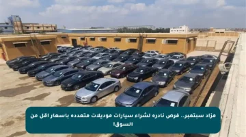 مزاد سبتمبر.. فرص نادرة لشراء سيارات موديلات متعددة بأسعار أقل من السوق!